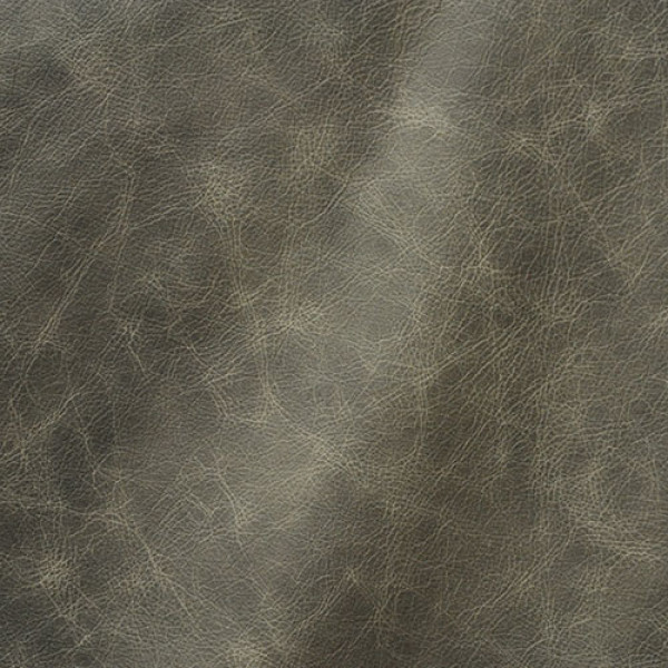 Cheyenne Grey Hoss