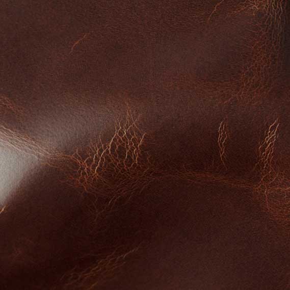Echo Cognac