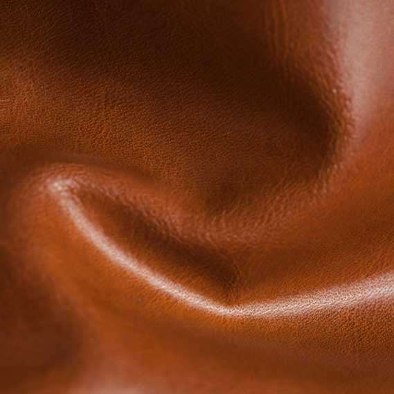 Mont Blanc Amber