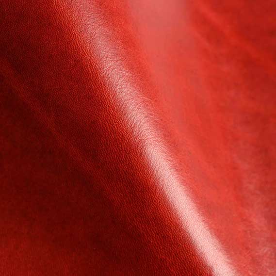 Mont Blanc Coral