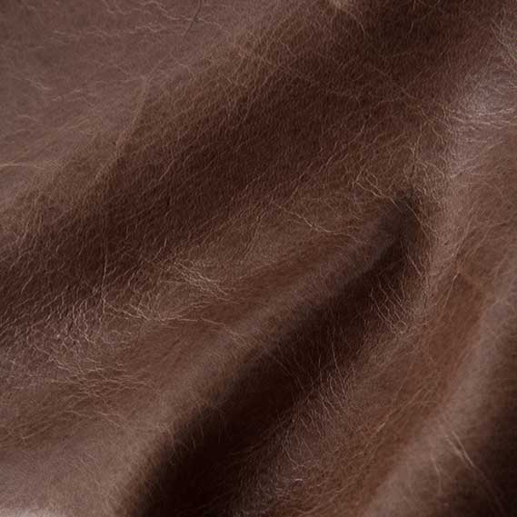 Mont Blanc Dove