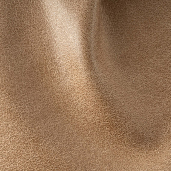 Winchester Beige