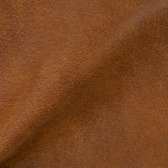 Winchester Sienna
