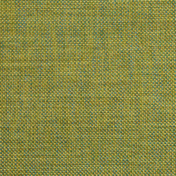 Minetta Lilypad
