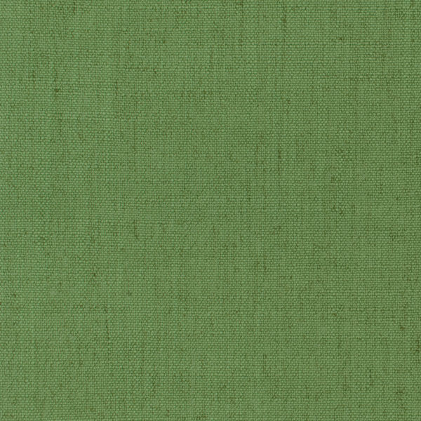 Montauk Kelly Green