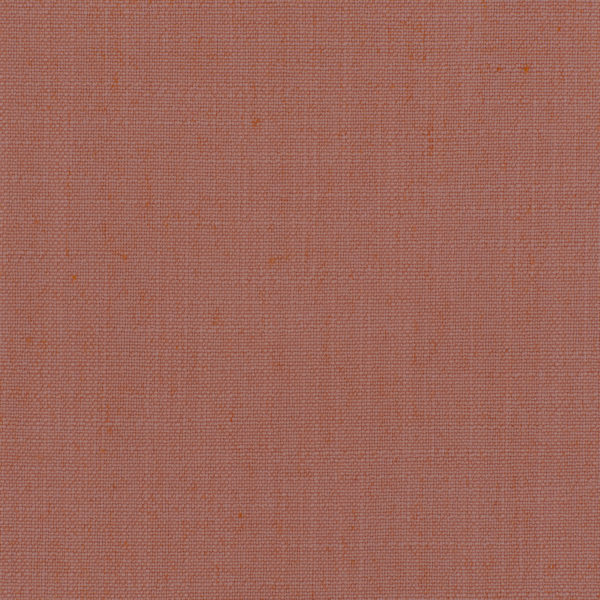 Montauk Rose