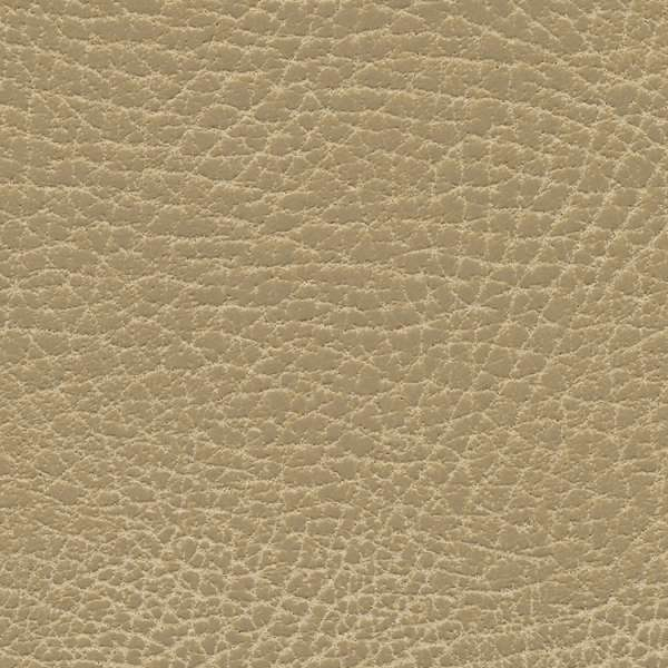 Brisa Distressed Buckskin