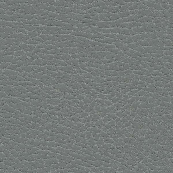 Brisa Distressed Koala