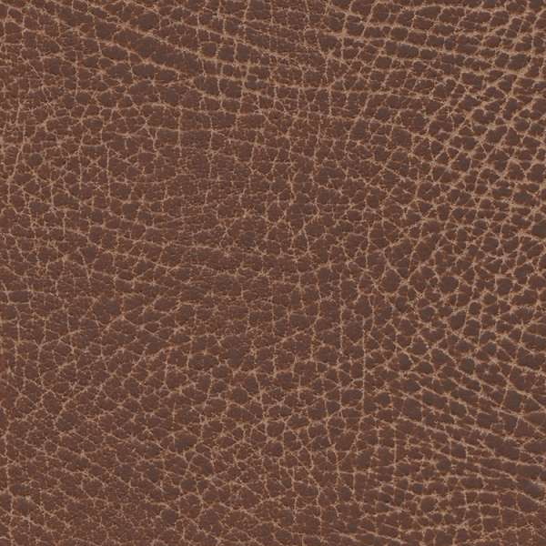 Brisa Distressed Lasso