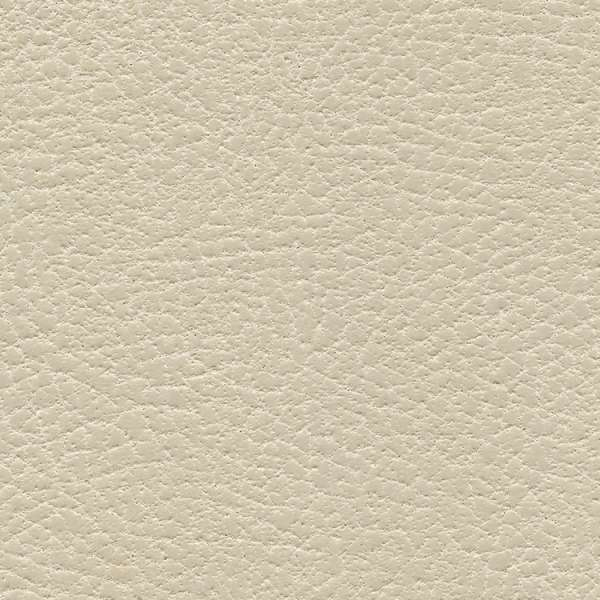 Brisa Distressed Navajo Ivory