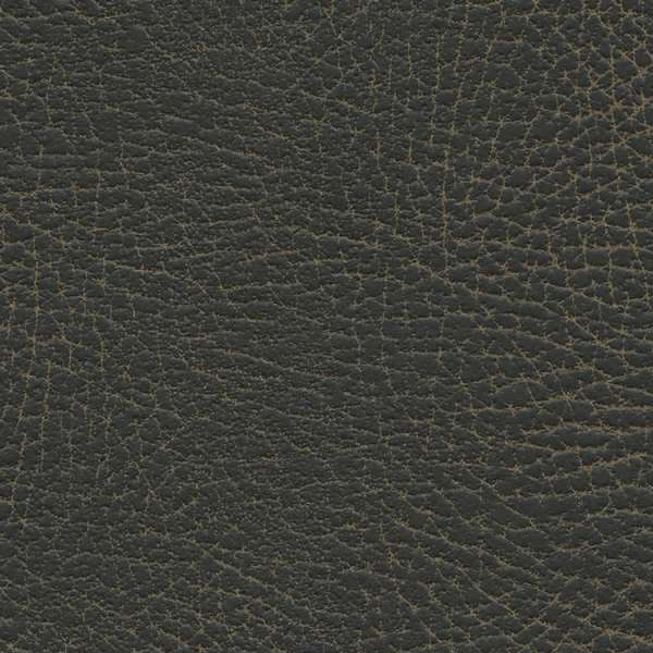 Brisa Distressed Steerhide