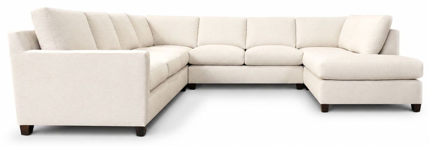 Jae LaRae Leather Sectional